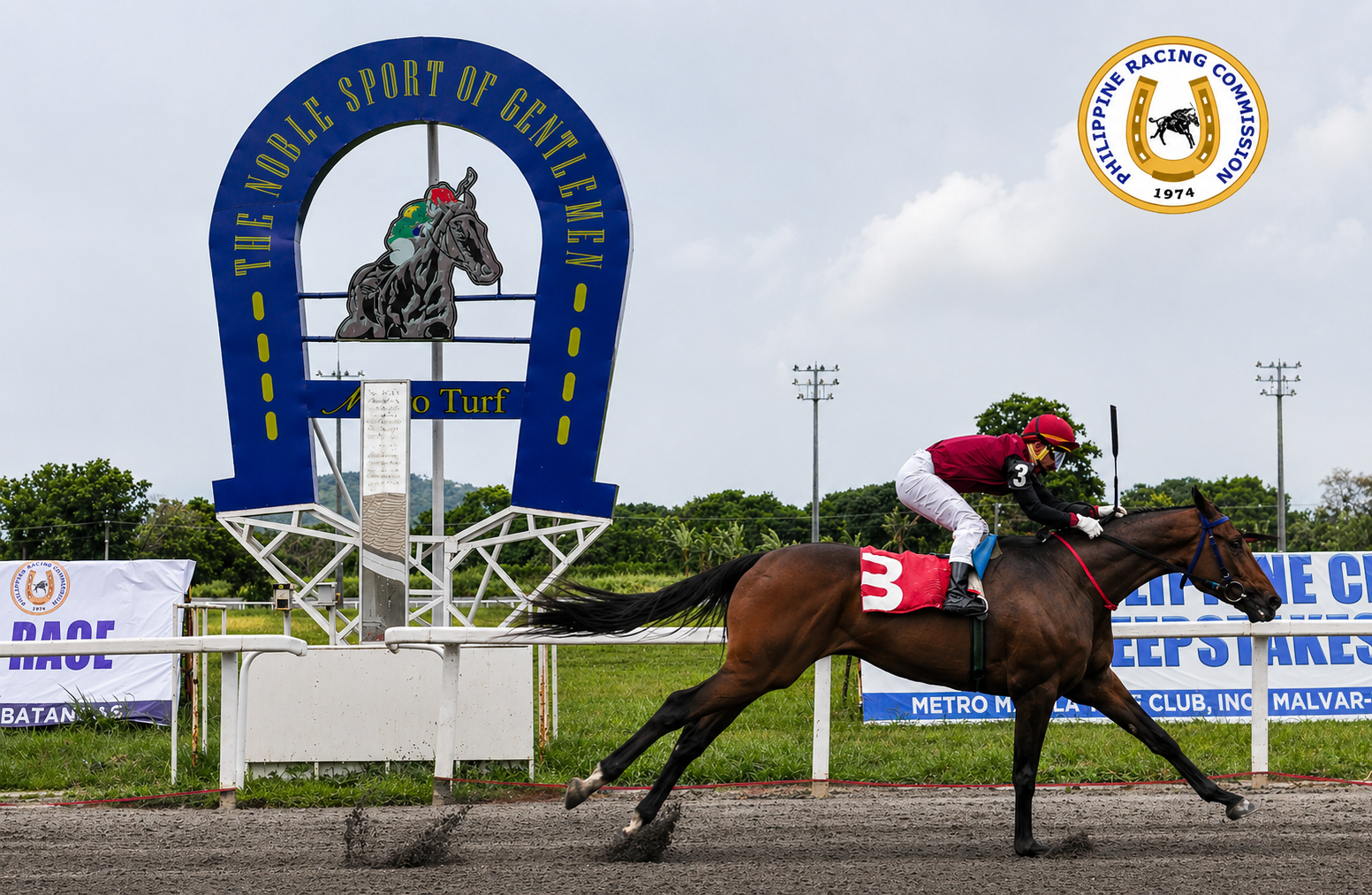 MetroTurf facilities